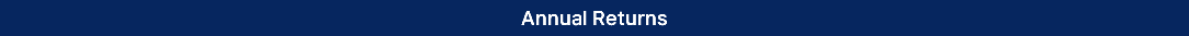 Annual Returns 