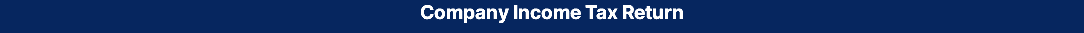 Company Income Tax Return