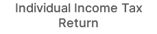Individual Income Tax Return