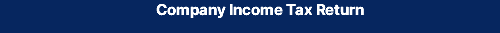 Company Income Tax Return
