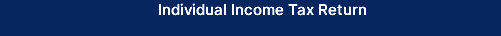 Individual Income Tax Return
