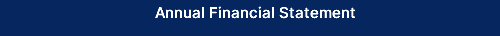 Annual Financial Statement
