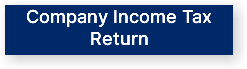 Company Income Tax Return