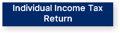 Individual Income Tax Return
